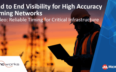 End to End Visibility for High Accuracy Timing Networks